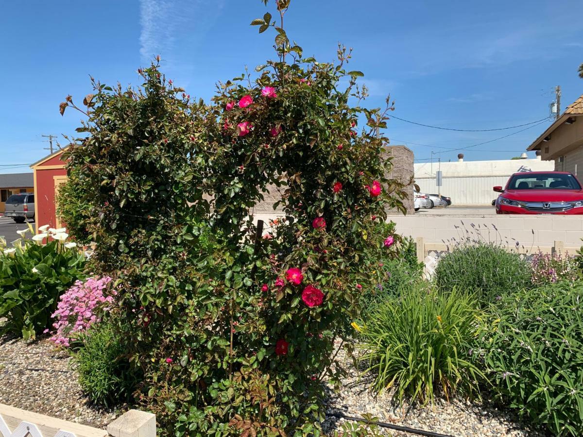 Wagon Wheel Motel Salinas Exterior photo